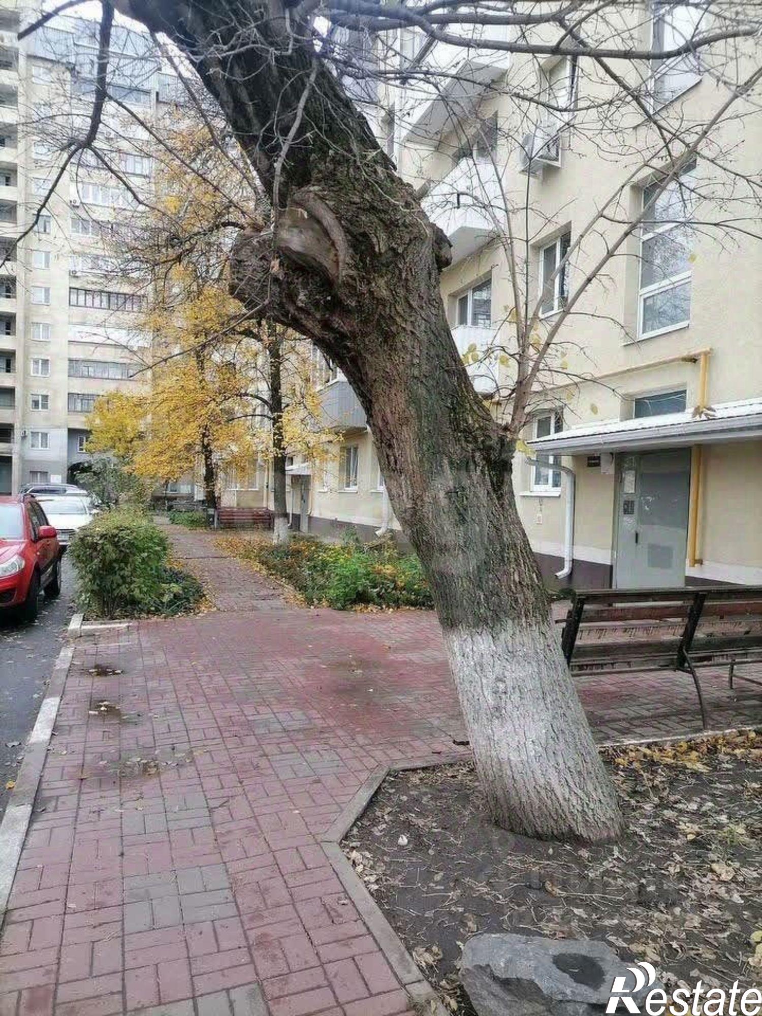 Купить квартиру за 3 900 000 рублей