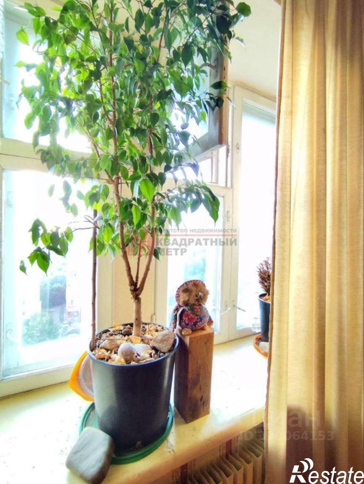 Купить квартиру за 7 500 000 рублей на Южный мкр,дом 10Б