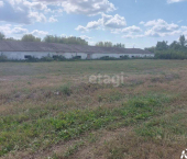 помещение 1758 кв м Корочанский район