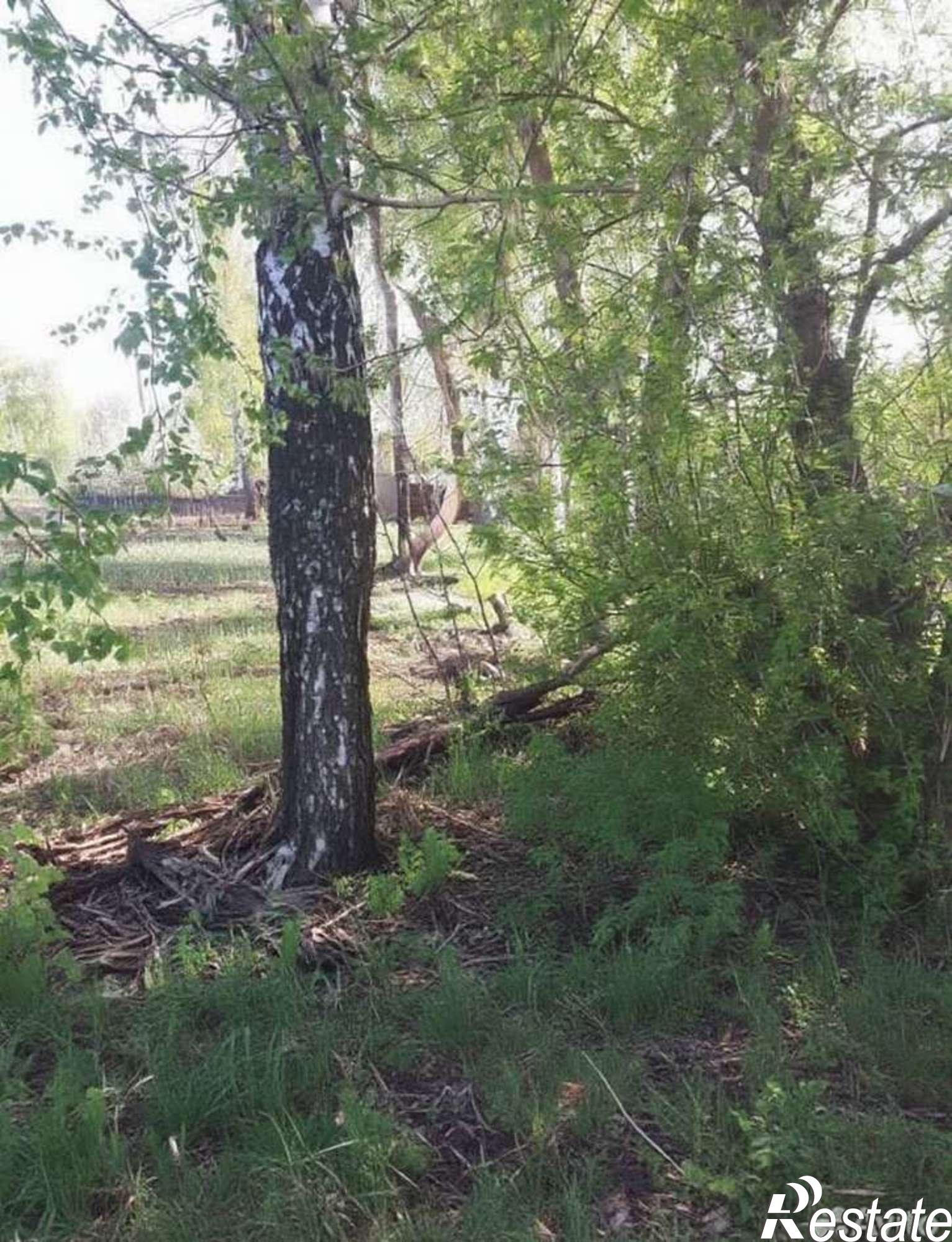 Купить землю, земельный участок за 950 000 рублей на Стрелецкое село
